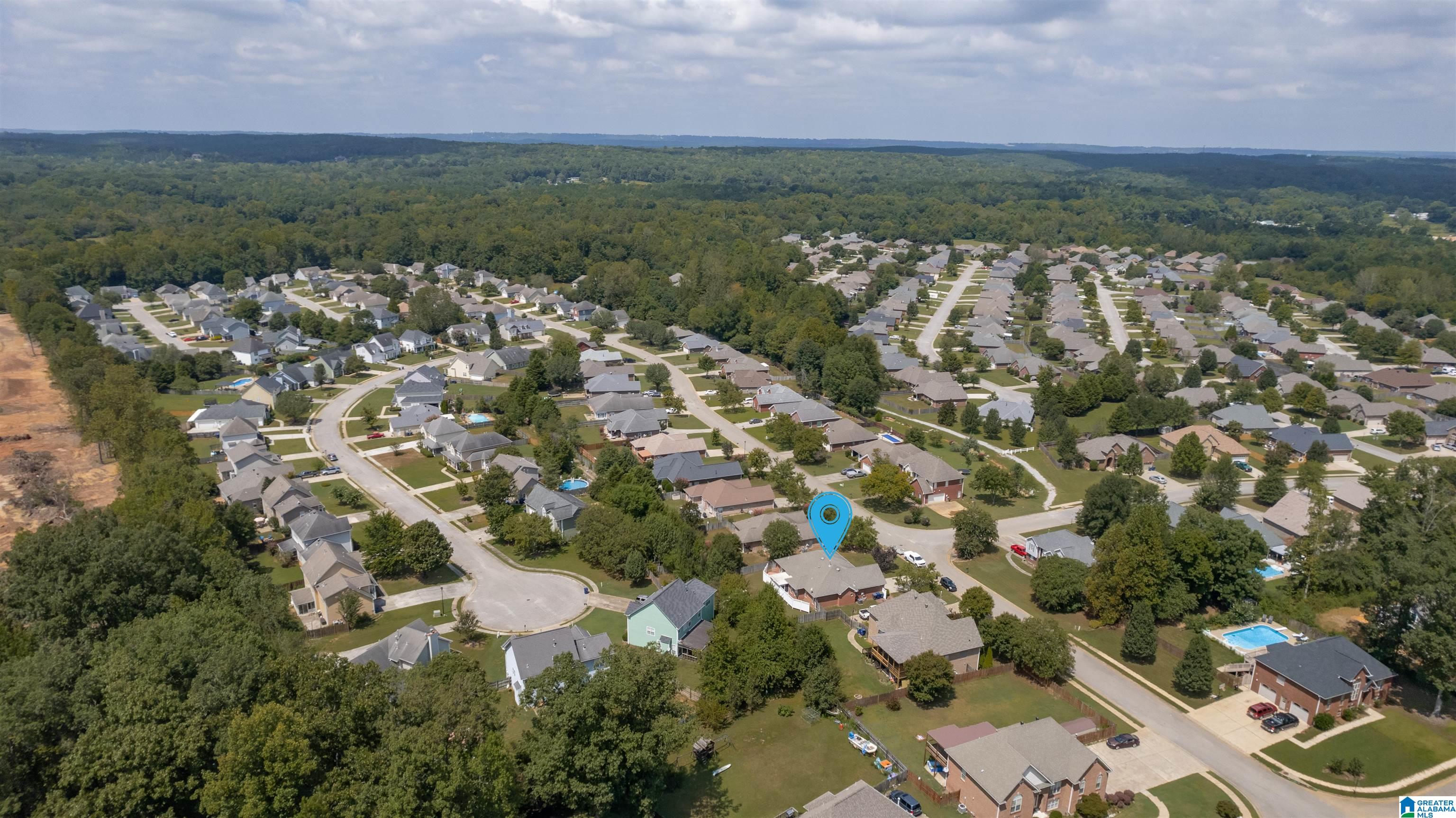 202 Cedar Grove Parkway Alabaster, AL 35114 - Photo 5 of 44