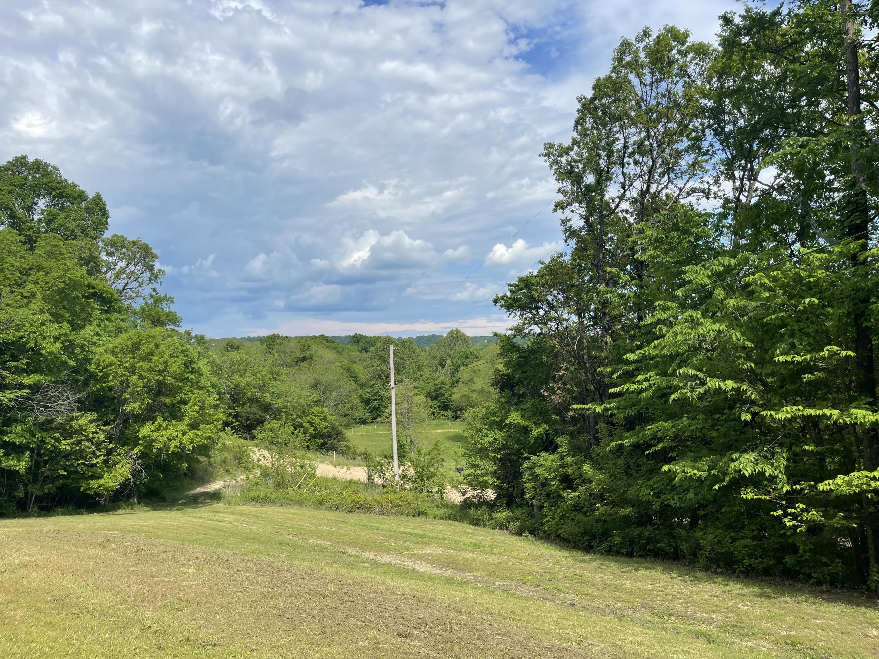 4002 White Oak Road Seligman, MO 65745 - Photo 1 of 1 View
