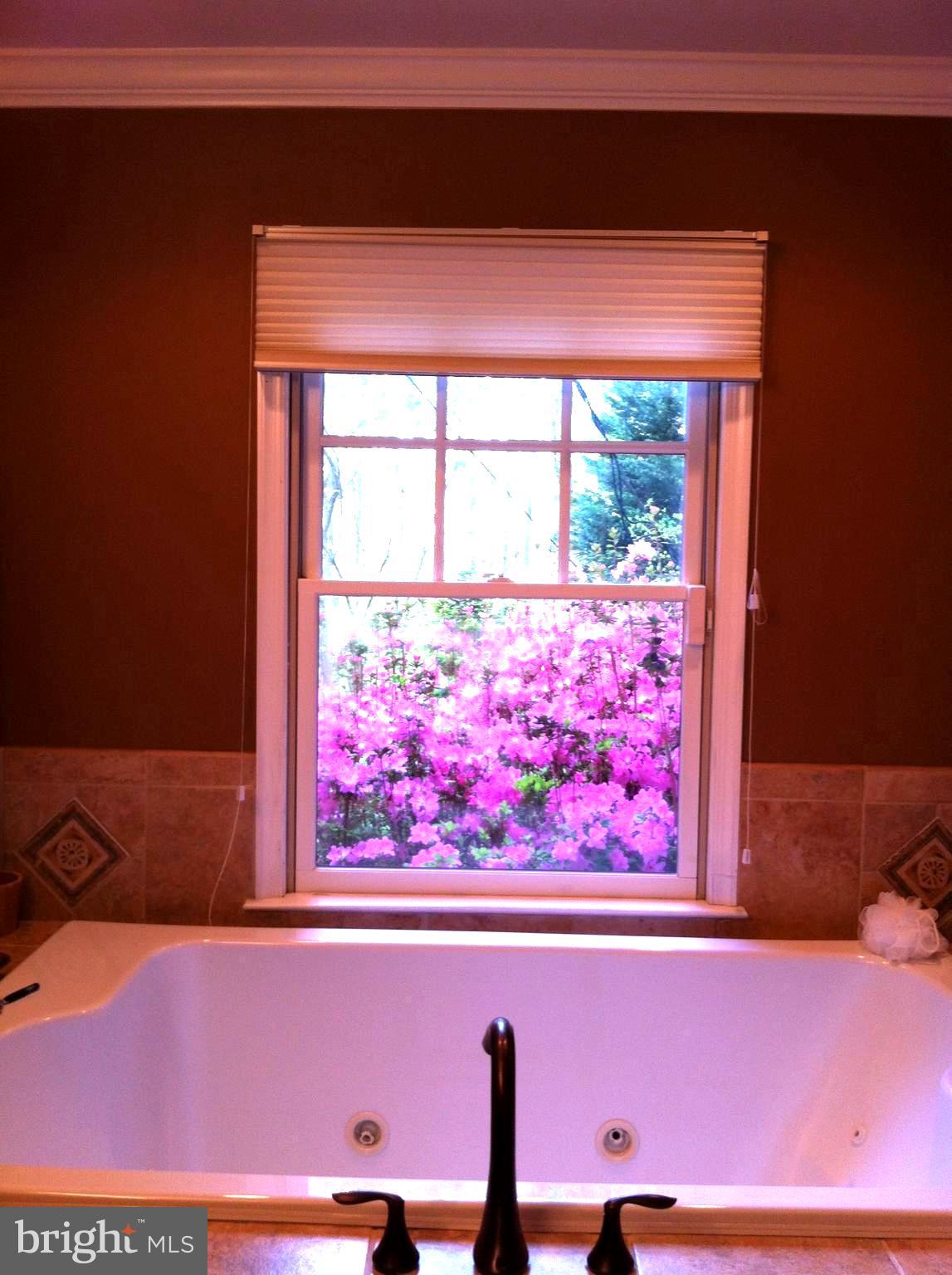 13808 Longnecker Road Glyndon, MD 21136 - Photo 24 of 40 Relaxing bubble bath while viewing lush blooms