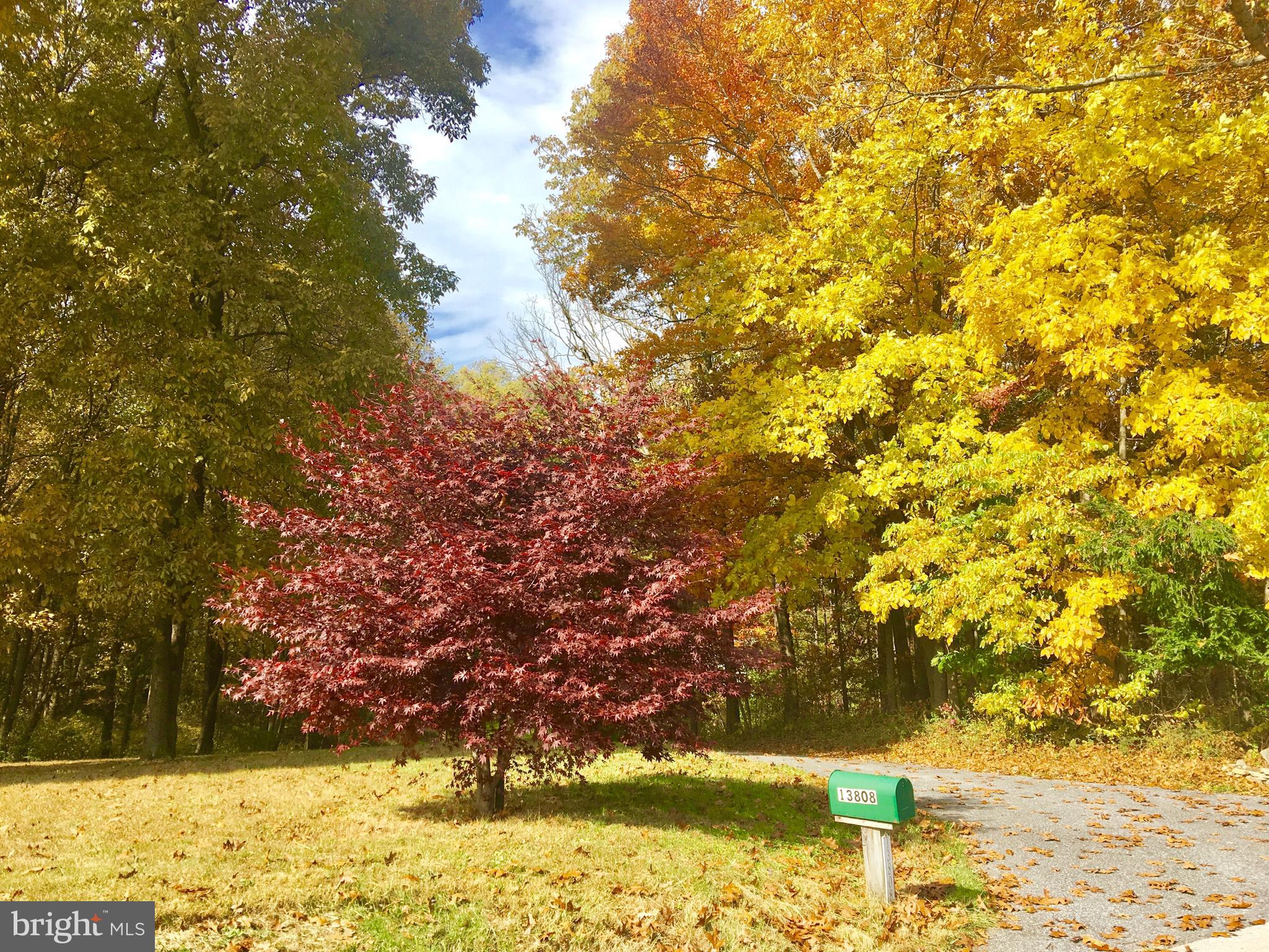 13808 Longnecker Road Glyndon, MD 21136 - Photo 34 of 40 Autumn is a colorful time of the year at this home