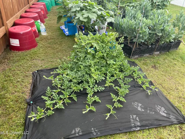 $425,000 | 705 Queens Court, Flowood, MS 39232