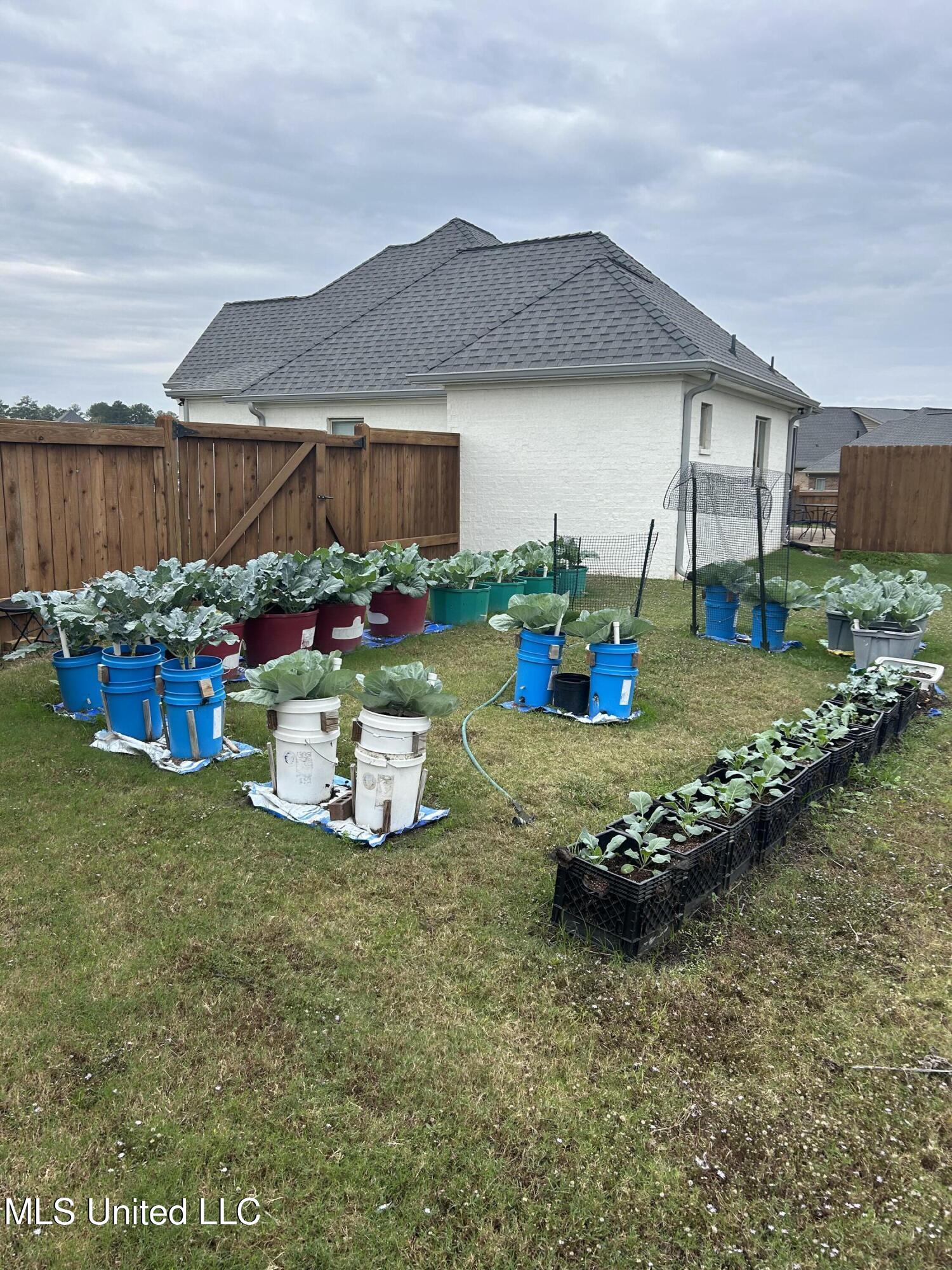 705 Queens Court Flowood, MS 39232 - Photo 58 of 62 IMG_9434