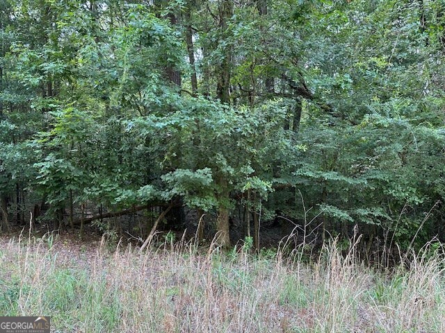 233 Riverbend Trail Macon, GA 31211 - Photo 2 of 3 a view of a lush green forest