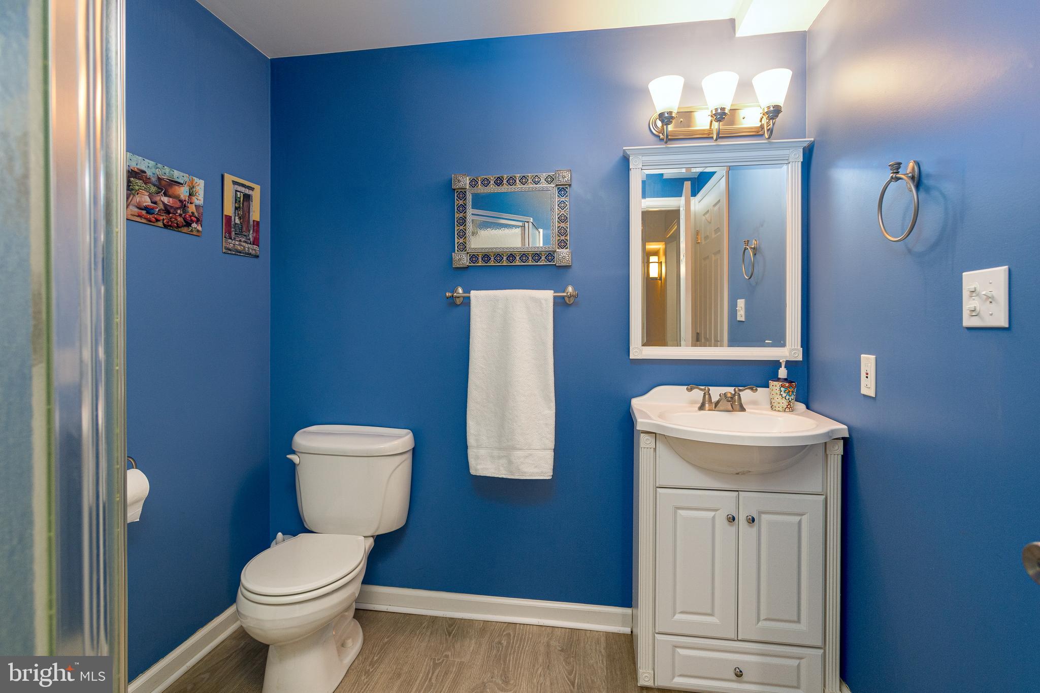 1883 Meadow Ridge Drive Hummelstown, PA 17036 - Photo 32 of 37 Basement full bathroom