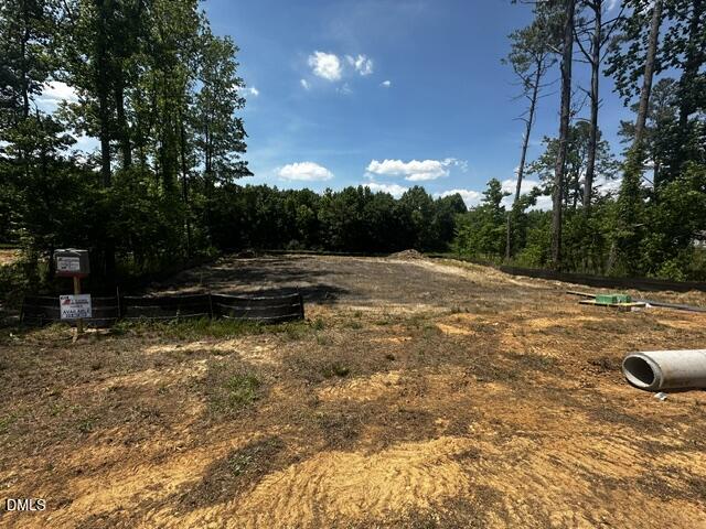 60 Deep Blue Trail Middlesex, NC 27557 - Photo 2 of 44