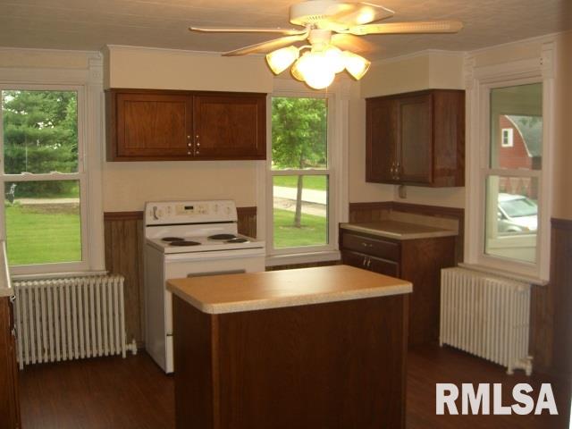 101 North Spring Street Atkinson, IL 61235 - Photo 7 of 18 Gallery Image 7
