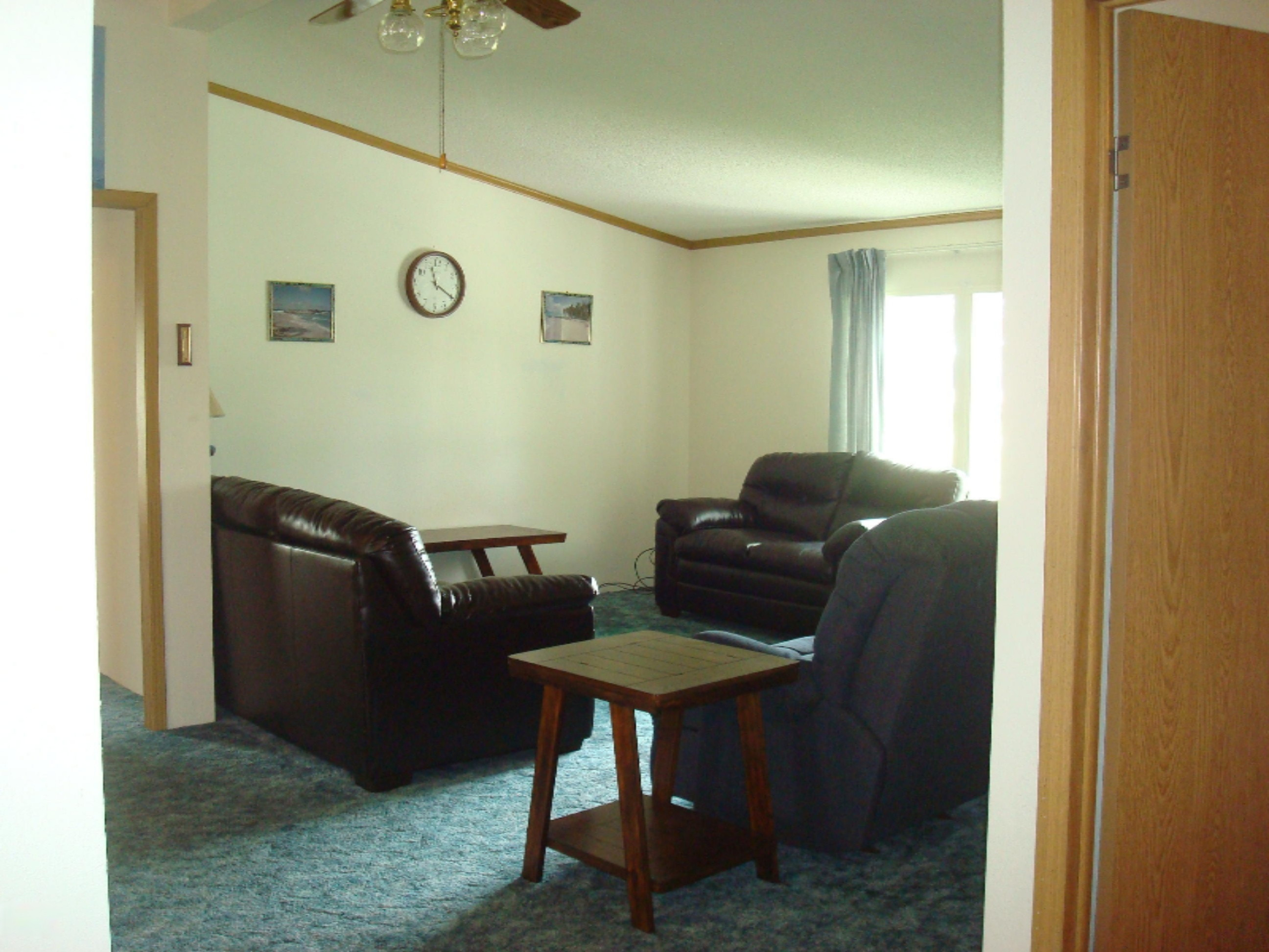 4310 East Territorial Road Camden, MI 49232 - Photo 13 of 62 8 (4)