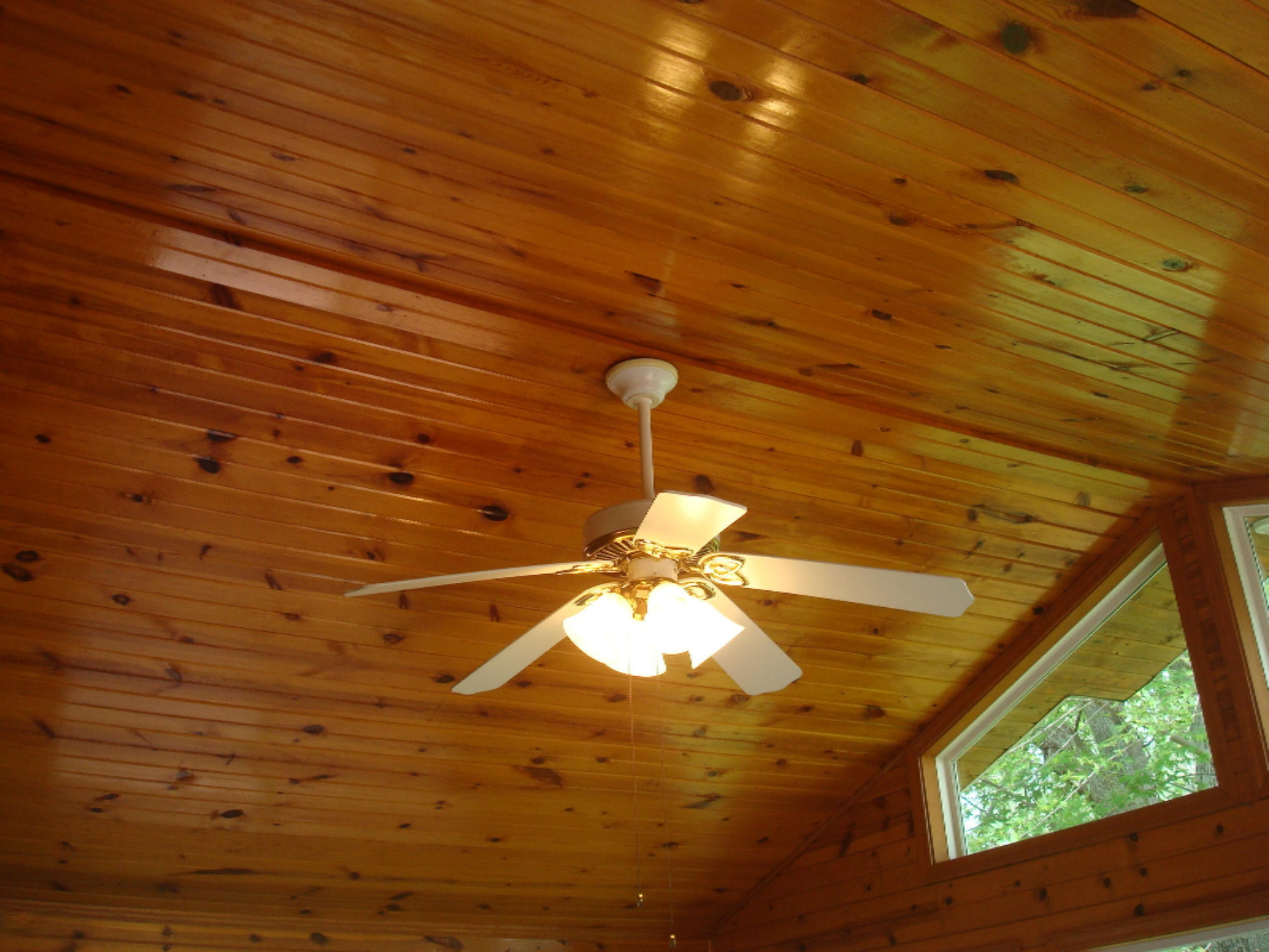 4310 East Territorial Road Camden, MI 49232 - Photo 19 of 62 10