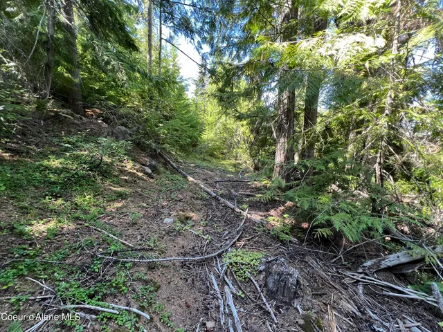 $52,900 | 520 Alpine Drive, Fernwood, ID 83830