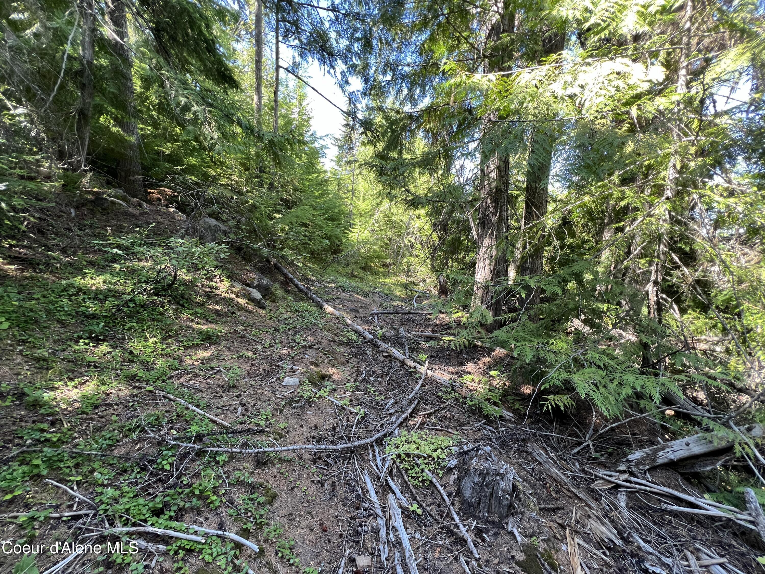 520 Alpine Drive Fernwood, ID 83830 - Photo 11 of 19 11