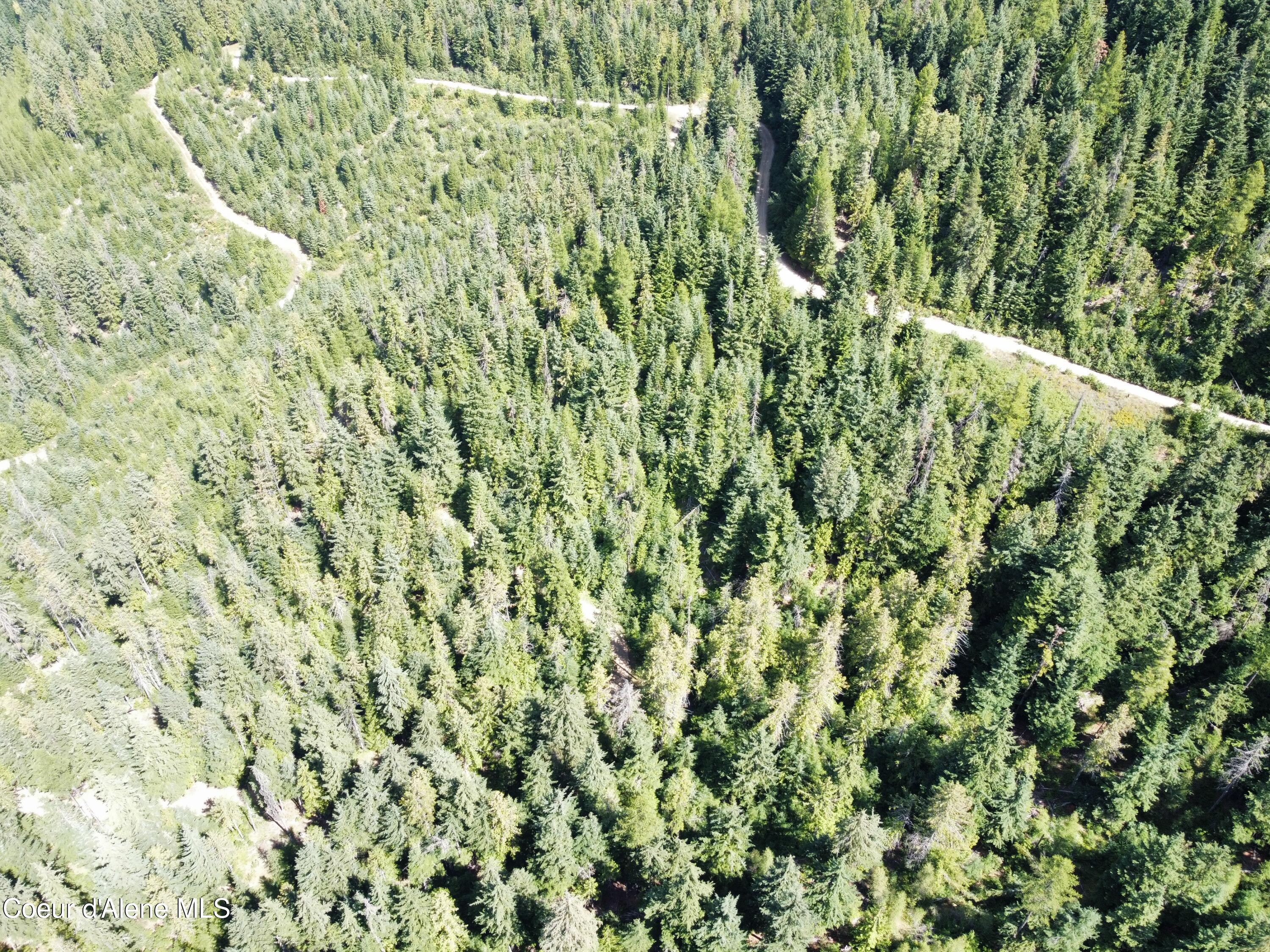 520 Alpine Drive Fernwood, ID 83830 - Photo 12 of 19 12