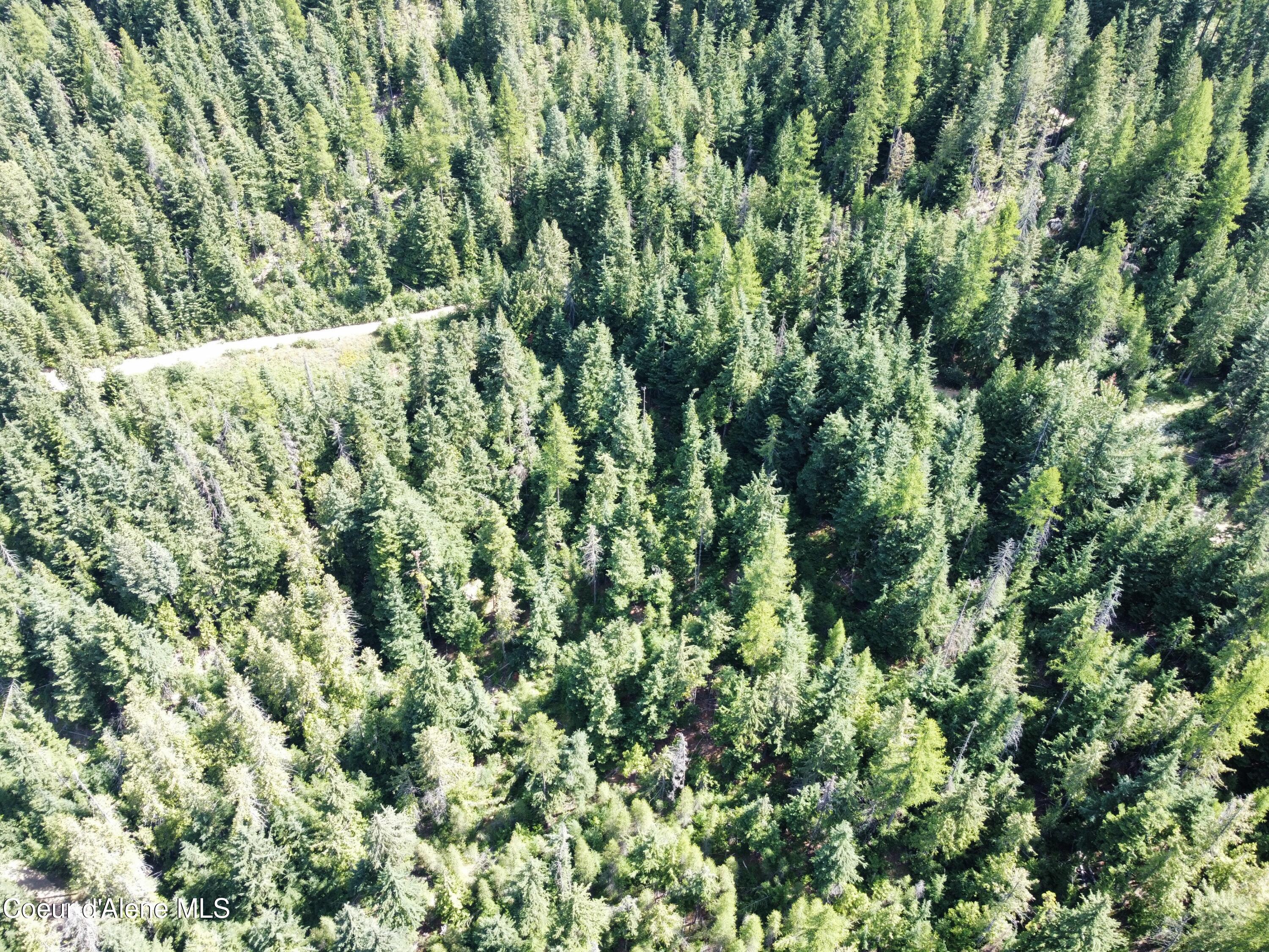 520 Alpine Drive Fernwood, ID 83830 - Photo 15 of 19 15