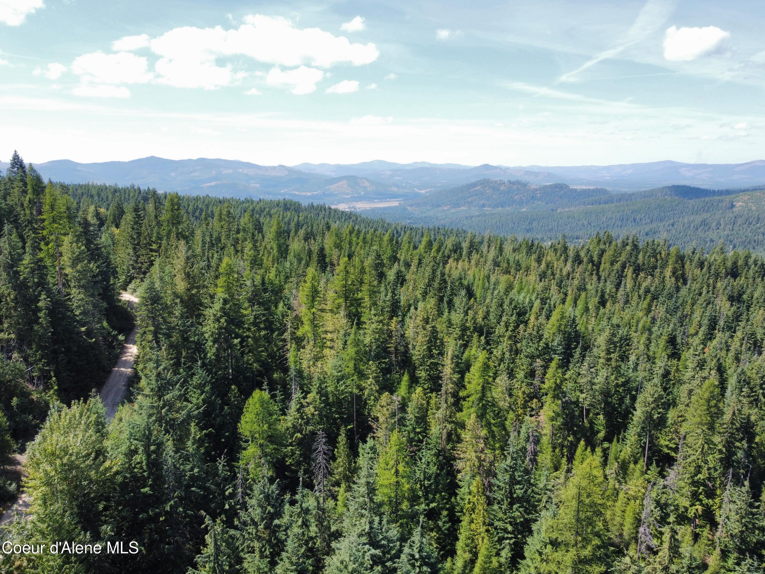 520 Alpine Drive Fernwood, ID 83830 - Photo 16 of 19 16