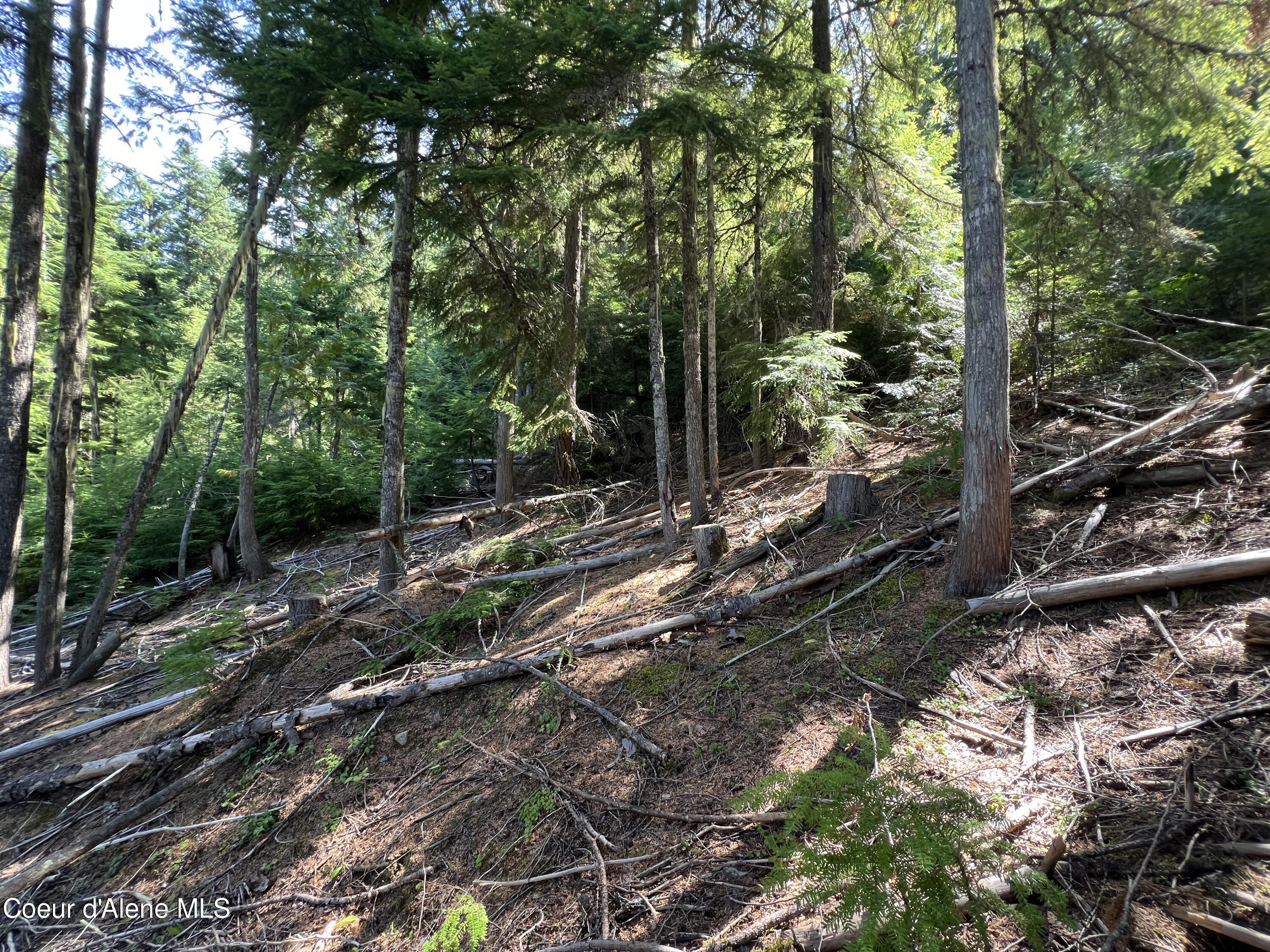 520 Alpine Drive Fernwood, ID 83830 - Photo 2 of 19 2