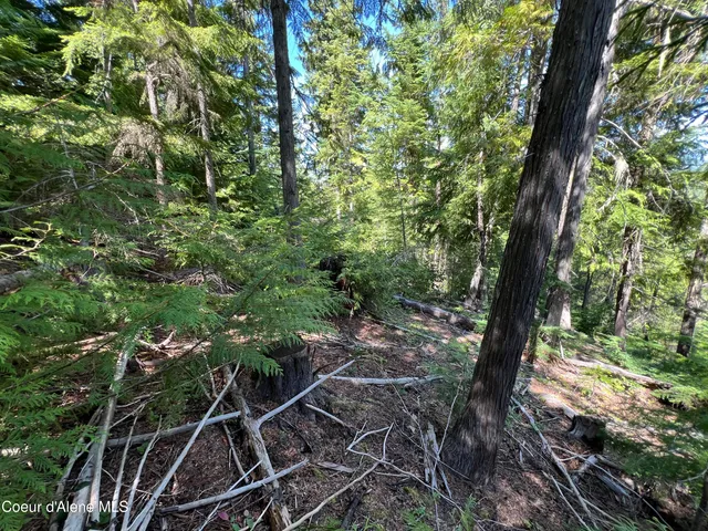 $52,900 | 520 Alpine Drive, Fernwood, ID 83830