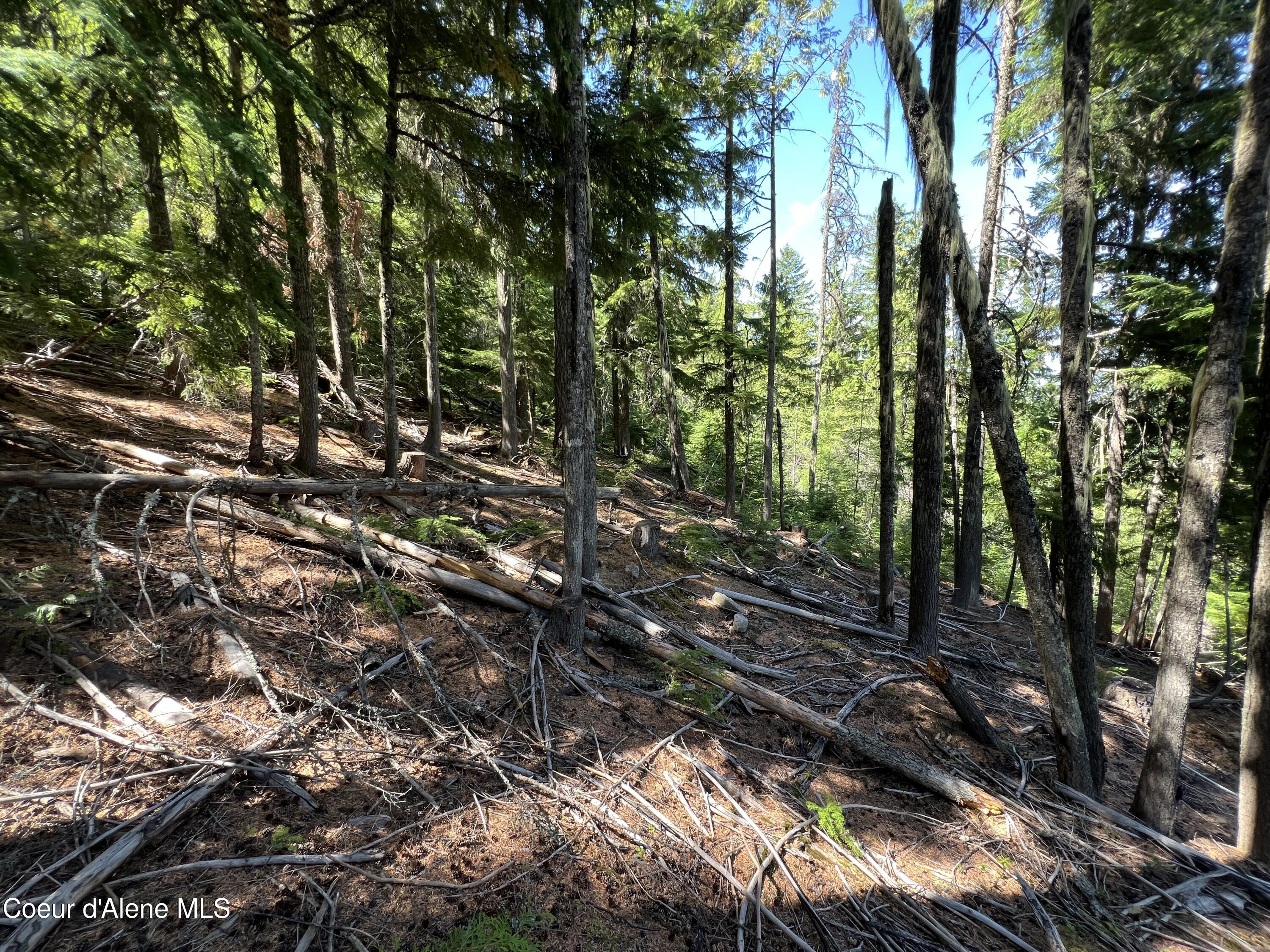 520 Alpine Drive Fernwood, ID 83830 - Photo 5 of 19 5