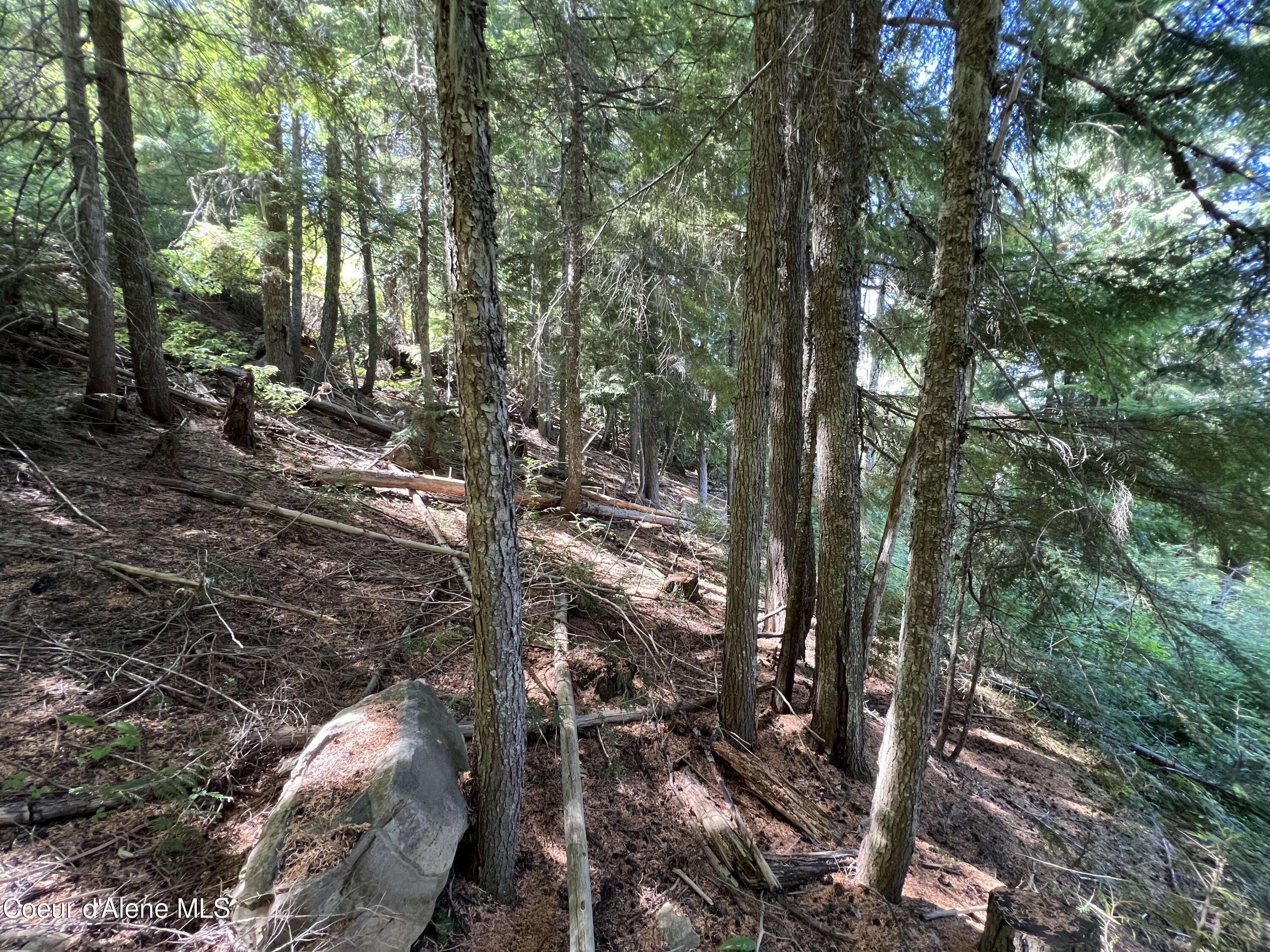 520 Alpine Drive Fernwood, ID 83830 - Photo 8 of 19 8