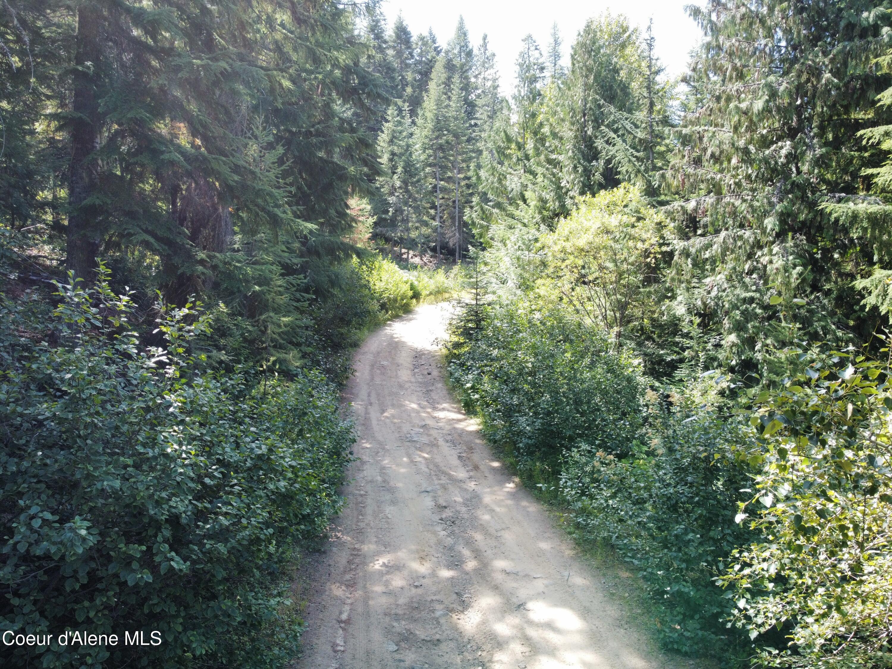 520 Alpine Drive Fernwood, ID 83830 - Photo 9 of 19 9