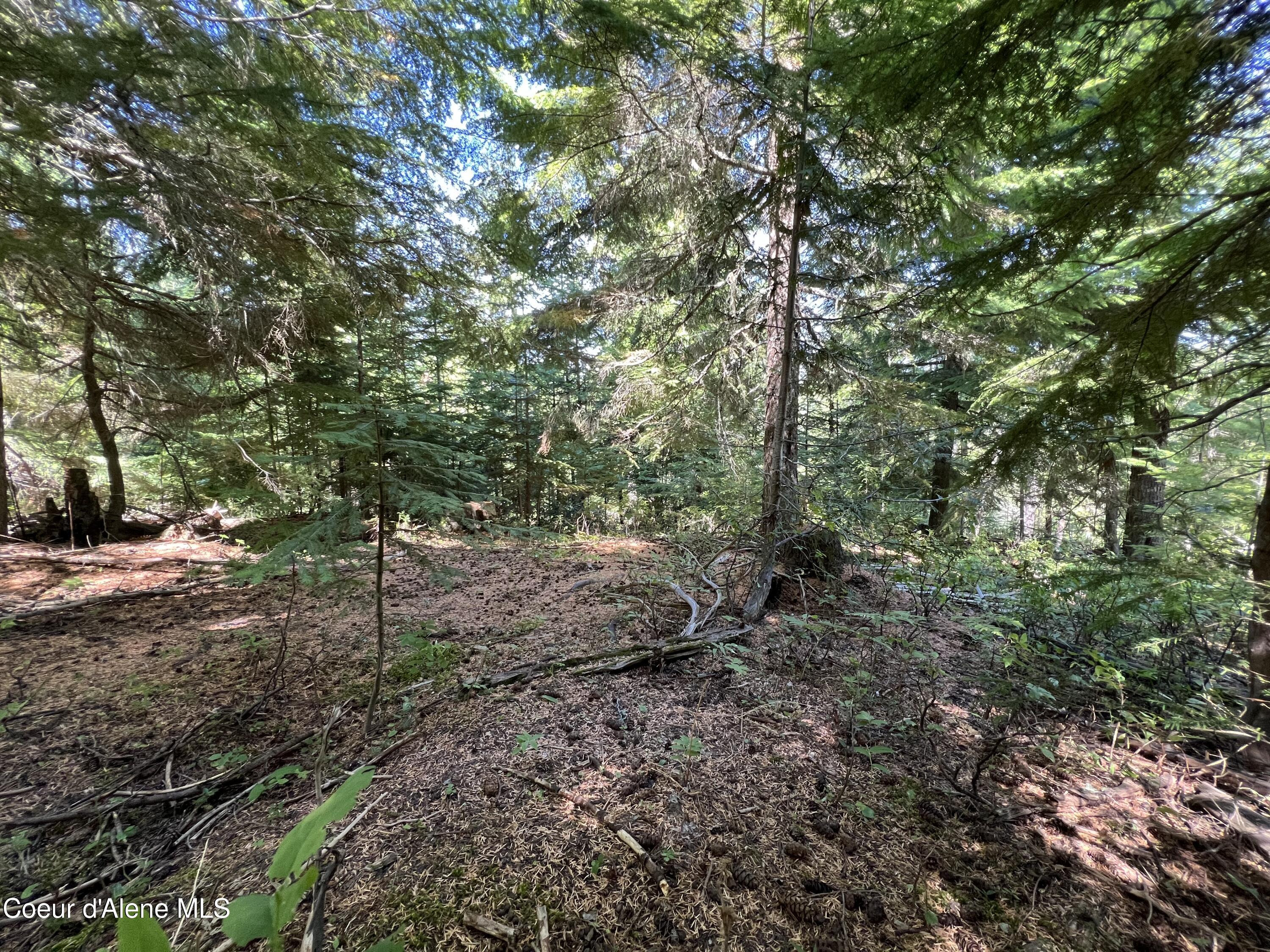 520 Alpine Drive Fernwood, ID 83830 - Photo 10 of 19 10