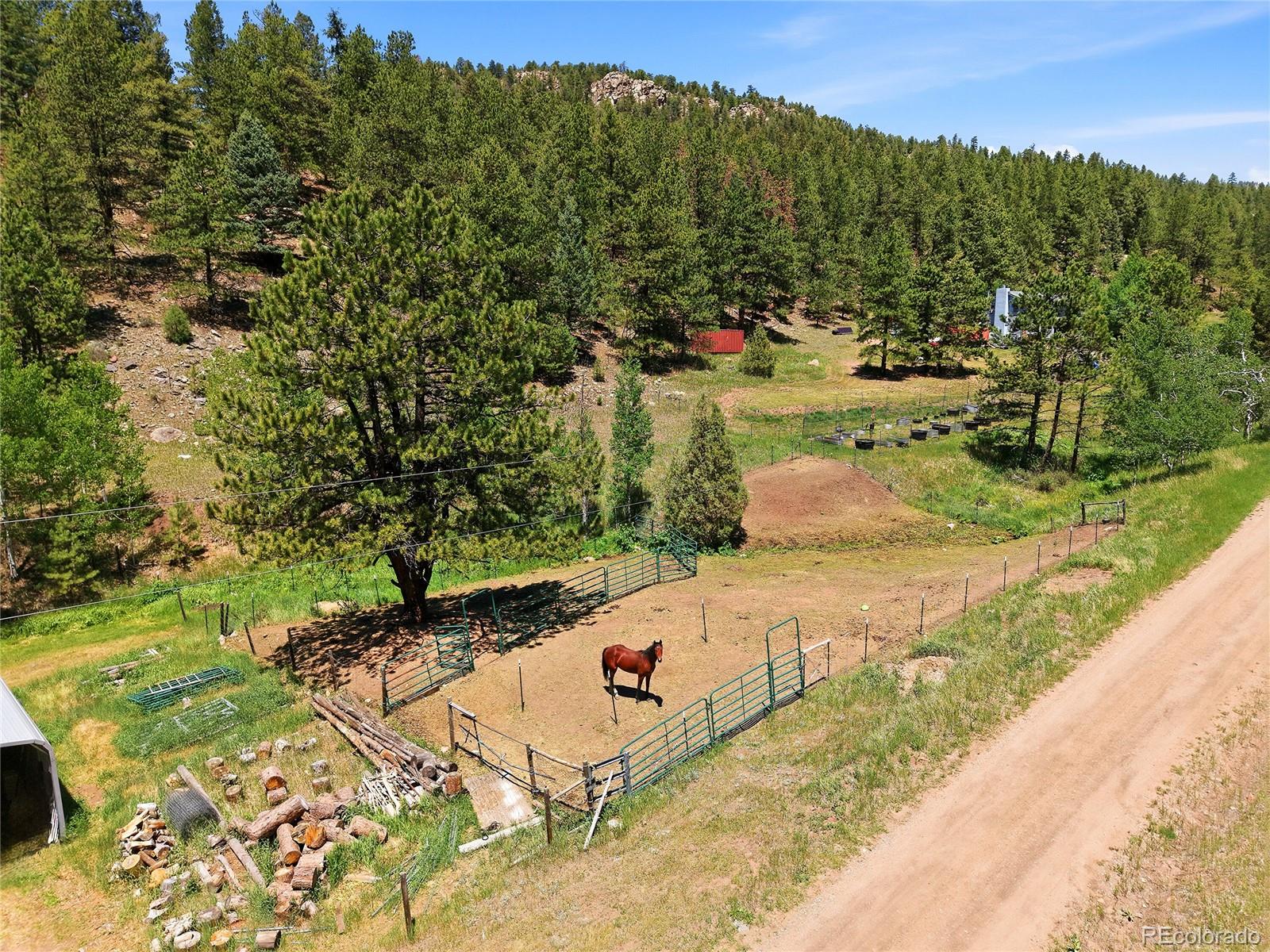 427 Brookside Drive Bailey, CO 80421 - Photo 8 of 37 a view of a park with large trees