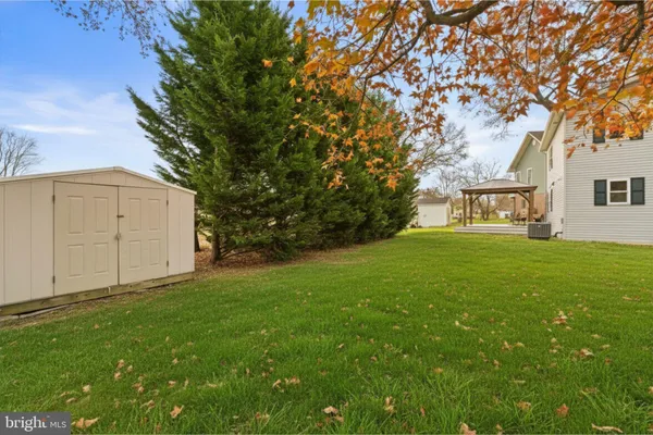 a tall tree in middle of the green field