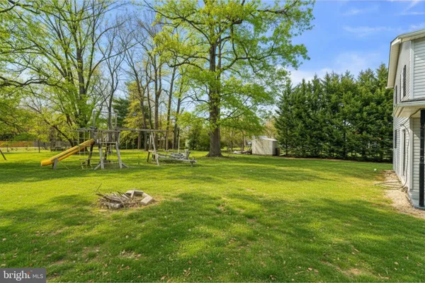 a view of a trees in a yard