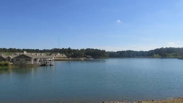 195 Grantham Way Middleton, TN 38052 - Photo 12 of 25