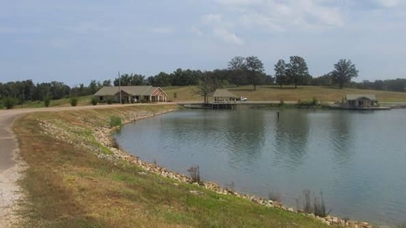 195 Grantham Way Middleton, TN 38052 - Photo 6 of 25