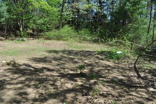 331 Nichols Road Barre, MA 01074 - Photo 27 of 30