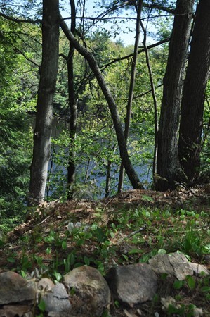 331 Nichols Road Barre, MA 01074 - Photo 3 of 30