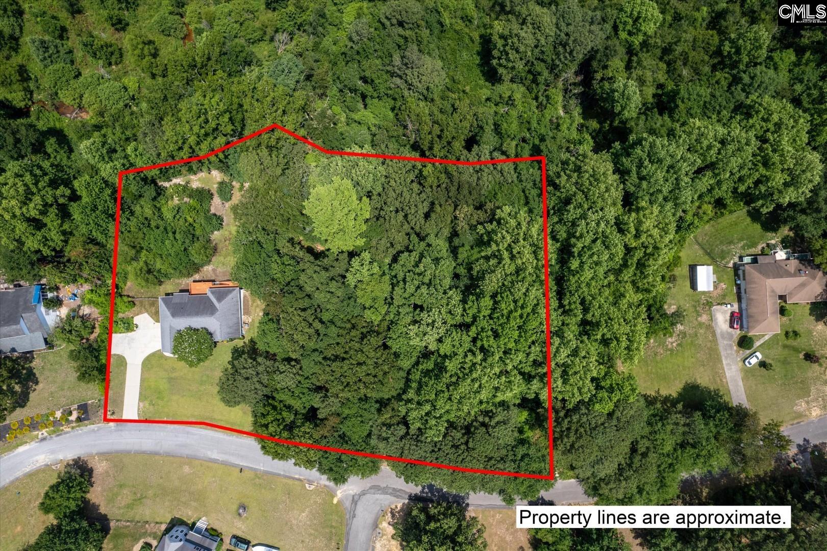 156 Crown Point Road Lexington, SC 29073 - Photo 2 of 46