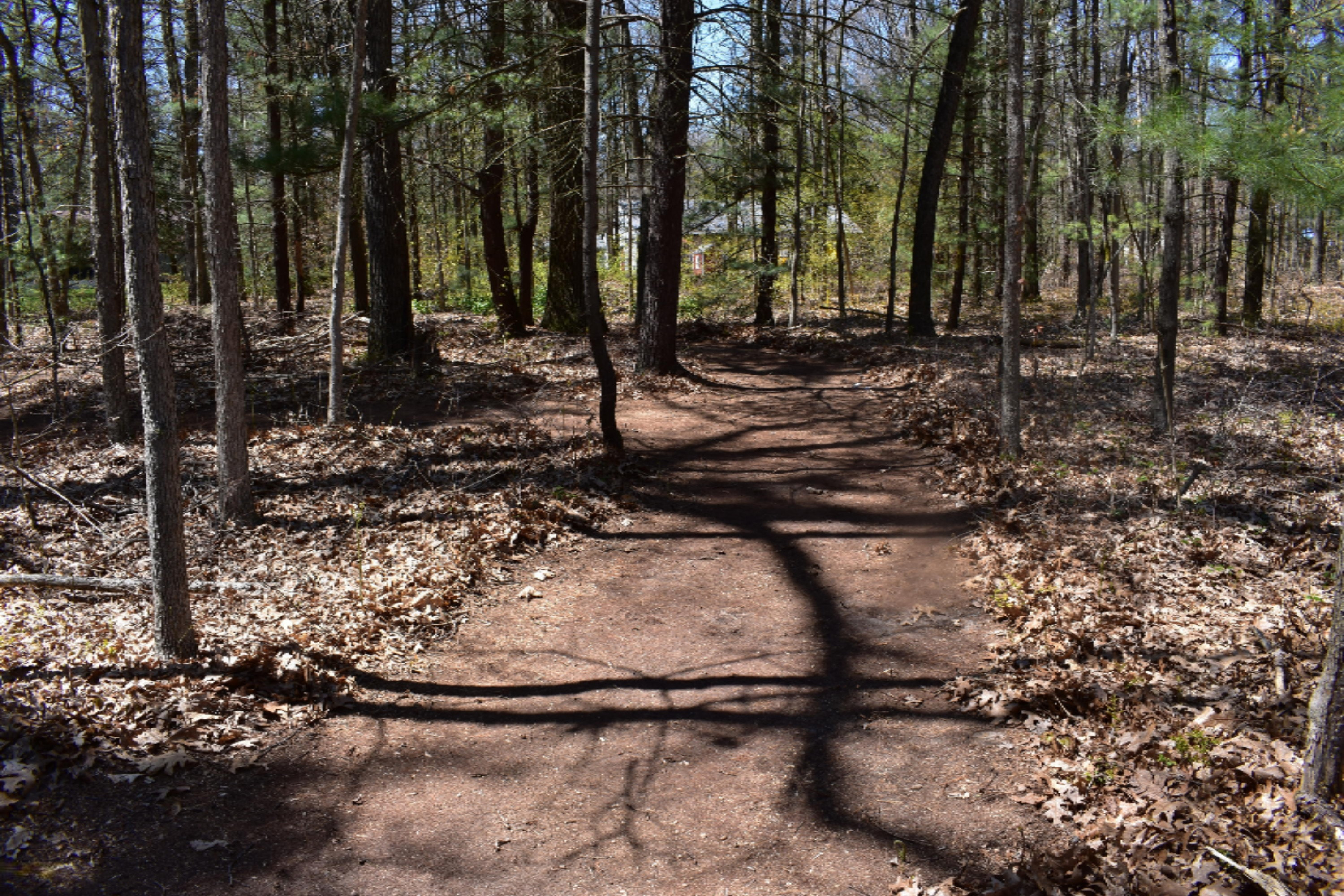 2514 Pillon Road Twin Lake, MI 49457 - Photo 53 of 60 DSC_0004
