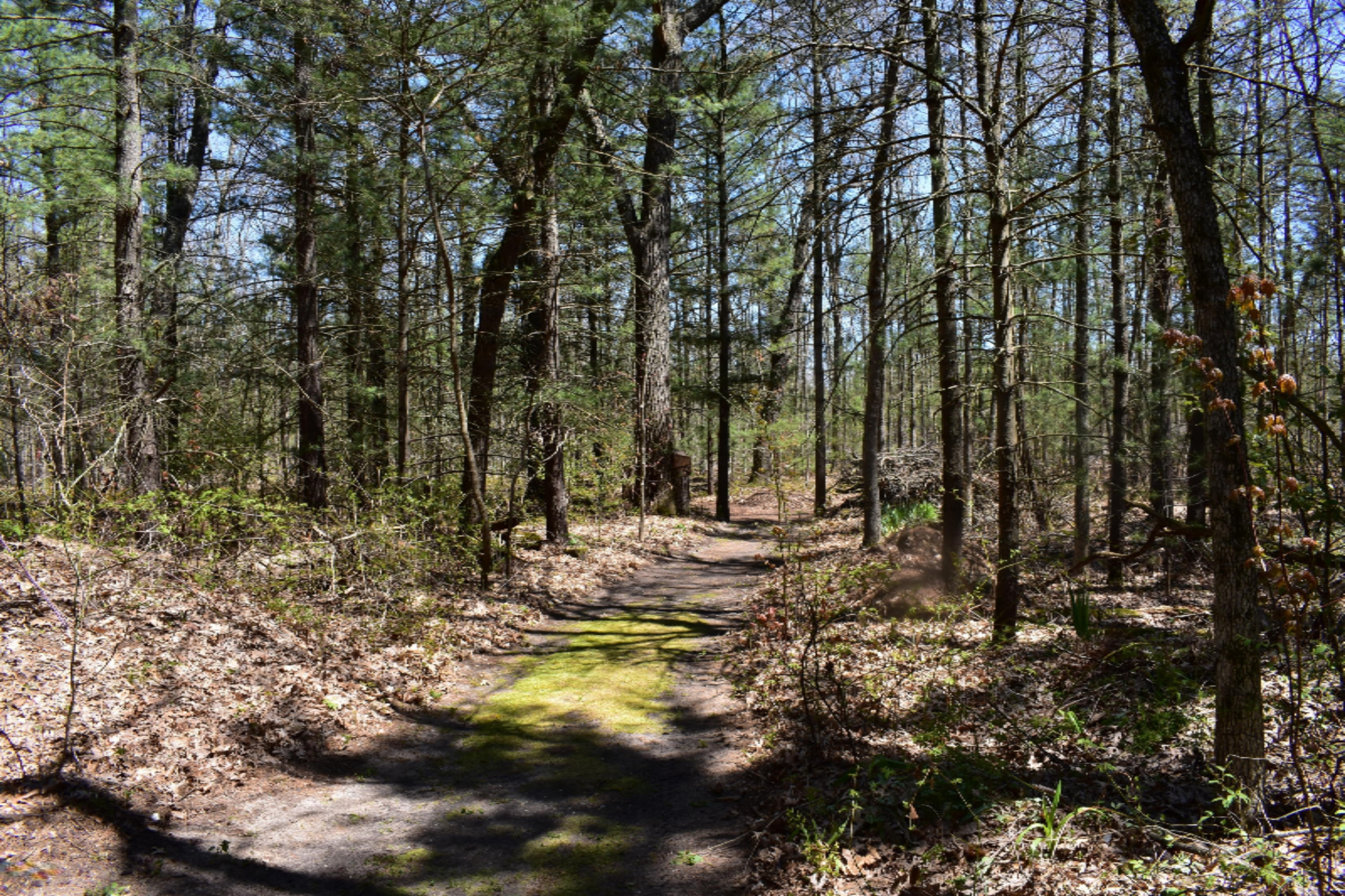 2514 Pillon Road Twin Lake, MI 49457 - Photo 54 of 60 DSC_1057