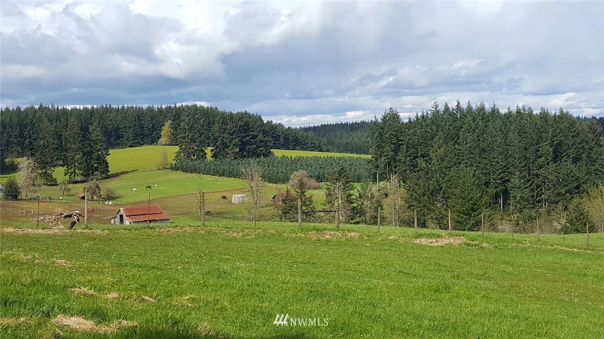 243 Macronovic Road Chehalis, WA 98532 - Photo 20 of 24