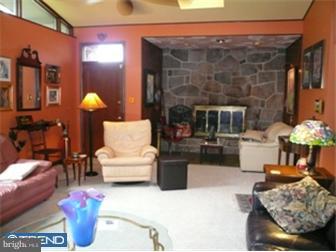 1300 Museum Road Reading, PA 19611 - Photo 3 of 10 Fireplace