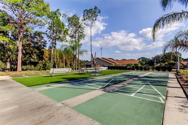 a view of a park with large trees
