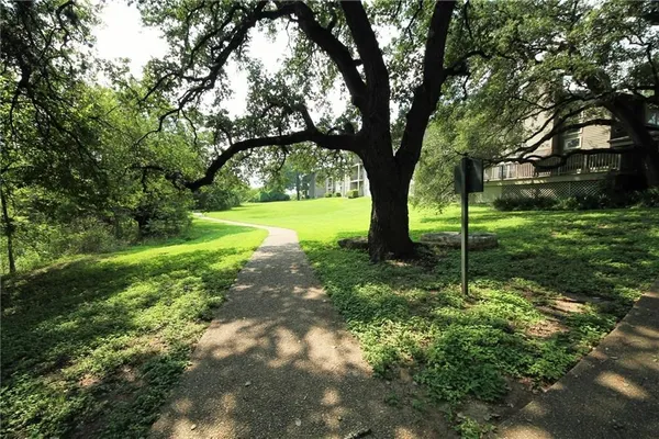 a view of a yard with a tree
