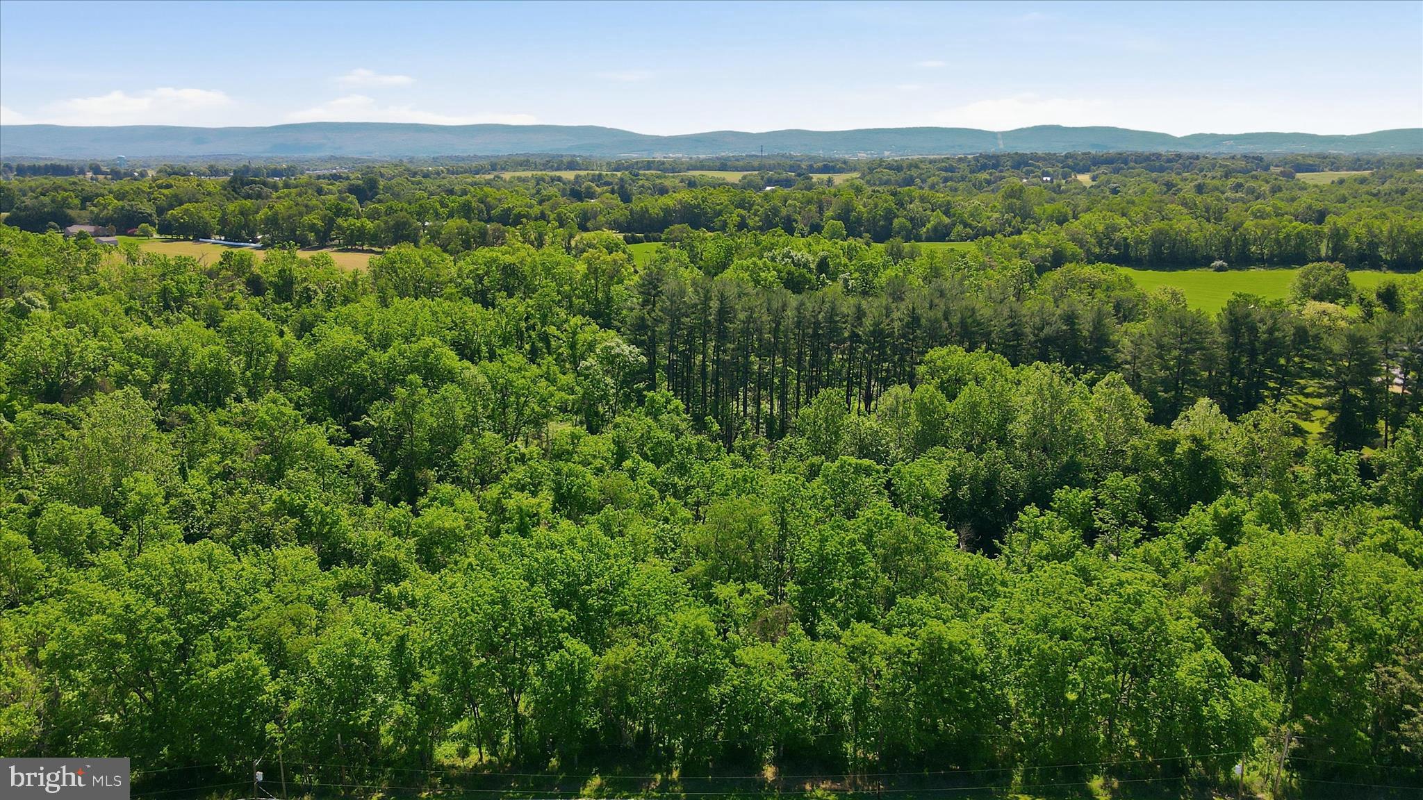 8805 Reichard Road Fairplay, MD 21733 - Photo 69 of 73 Aerial View of the land