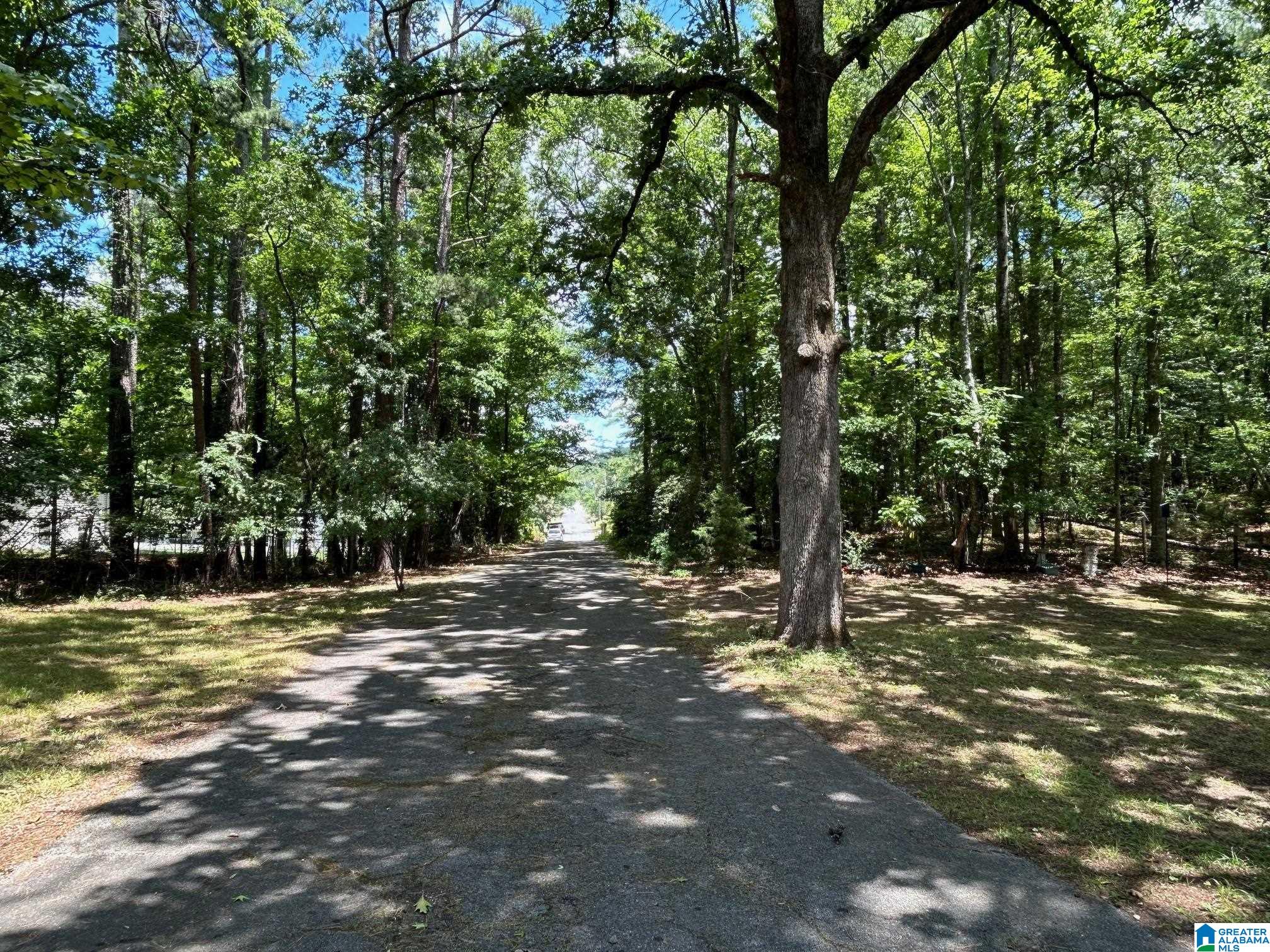 410 Rocky Ridge Road Northeast Jacksonville, AL 36265 - Photo 36 of 41