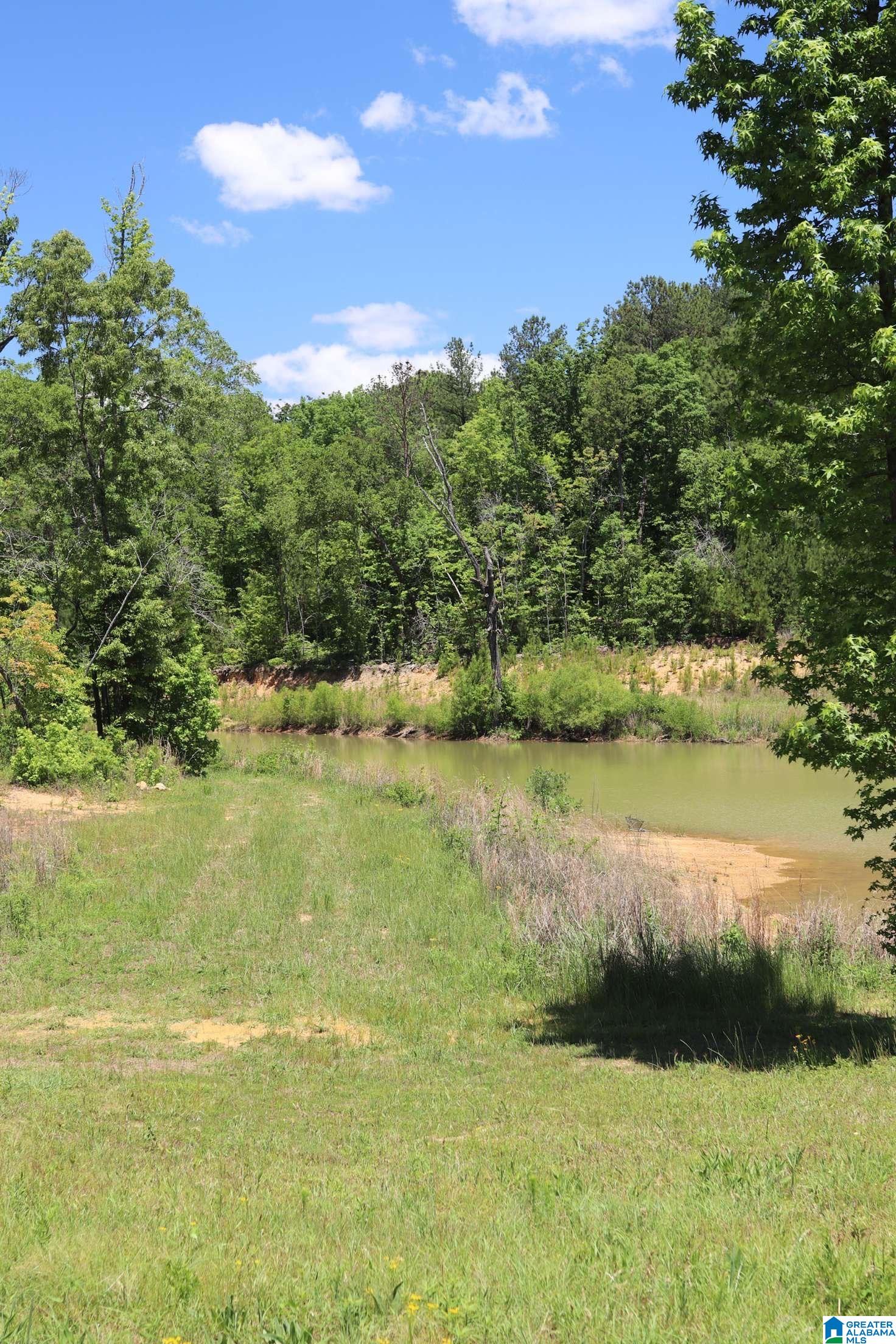 2930 Shocco Springs Road Talladega, AL 35160 - Photo 68 of 93