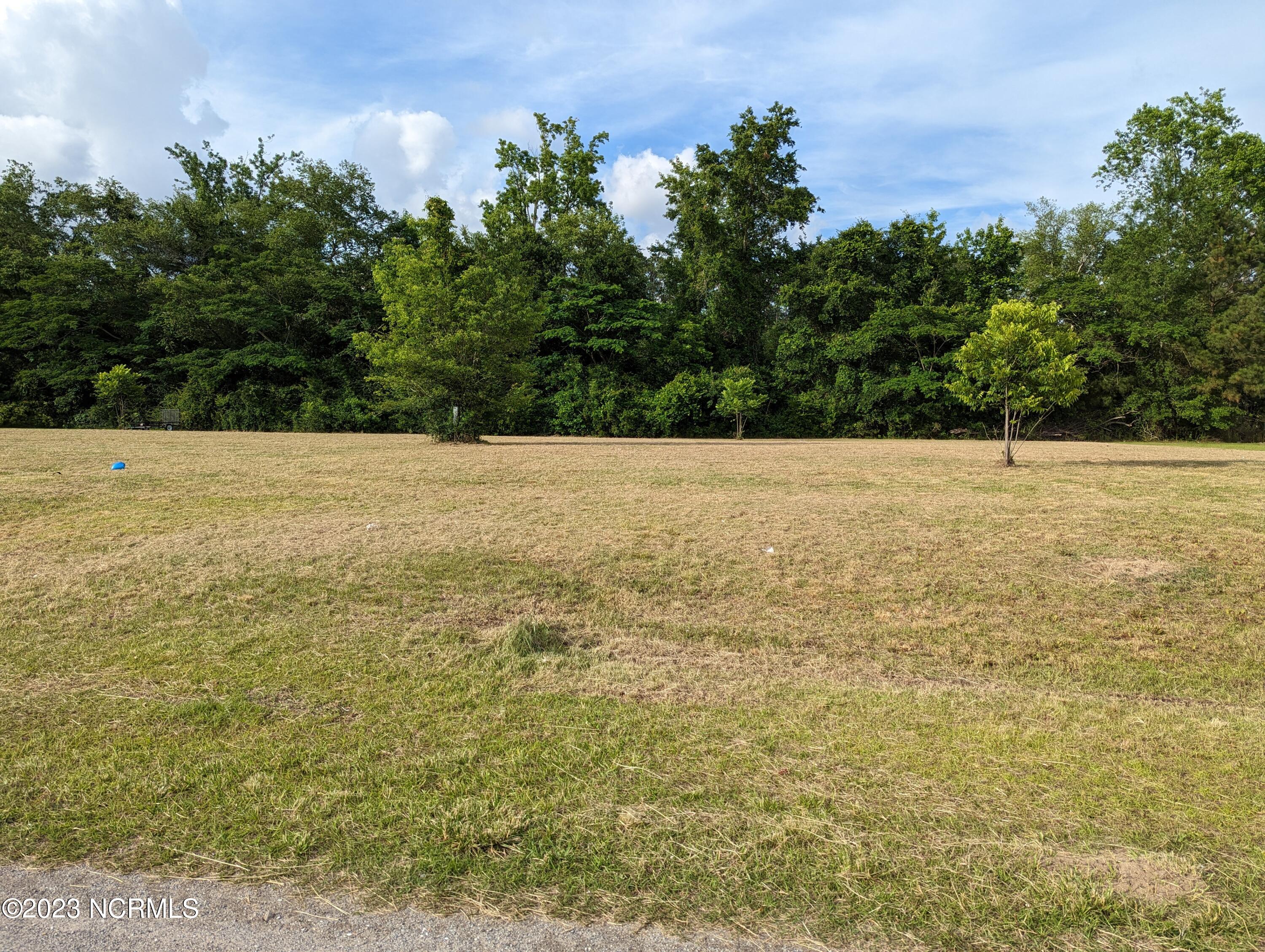 4045 Brandon Road Grifton, NC 28530 - Photo 10 of 11 PXL_20230601_220112750