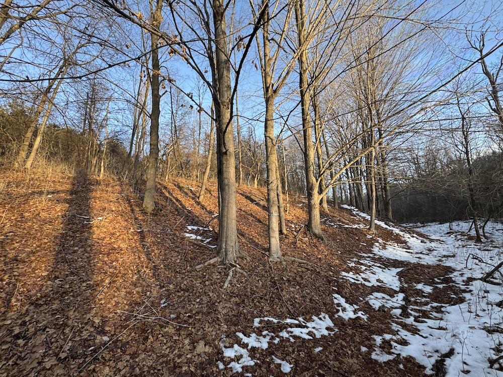 2500 West Quarter Line Road Coleman, MI 48618 - Photo 127 of 241 IMG_8402