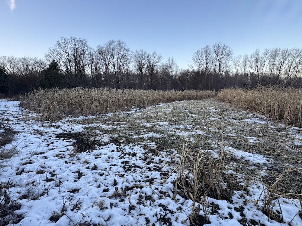 2500 West Quarter Line Road Coleman, MI 48618 - Photo 147 of 241 IMG_8427