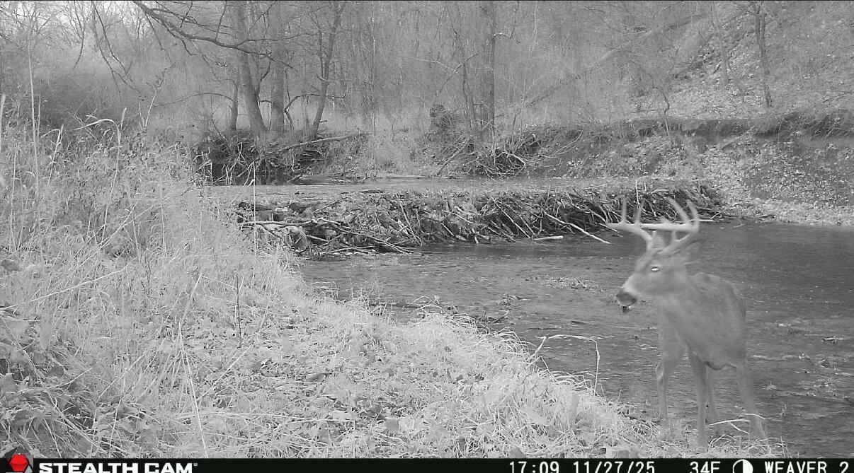 2500 West Quarter Line Road Coleman, MI 48618 - Photo 179 of 241 1