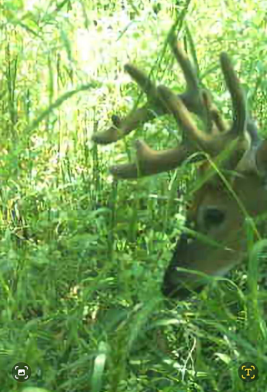 2500 West Quarter Line Road Coleman, MI 48618 - Photo 180 of 241 2