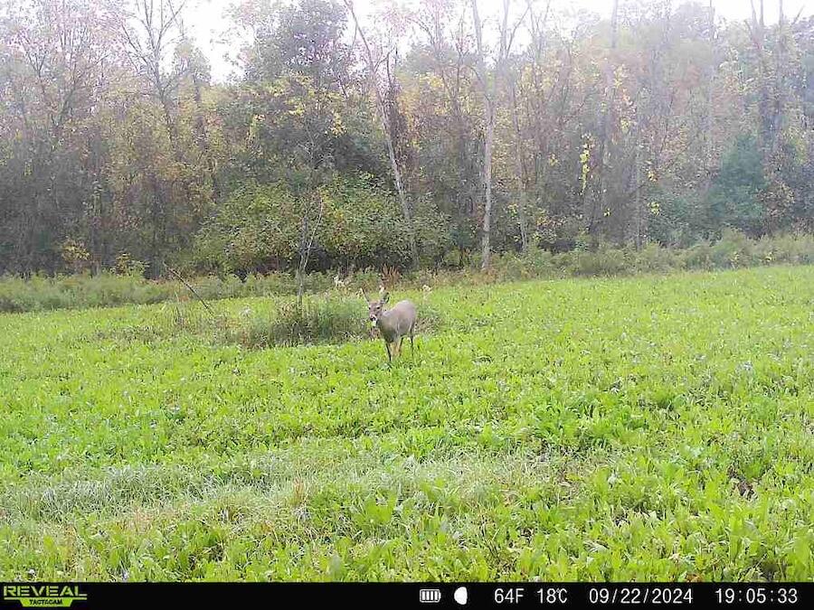 2500 West Quarter Line Road Coleman, MI 48618 - Photo 197 of 241 529926289838920252