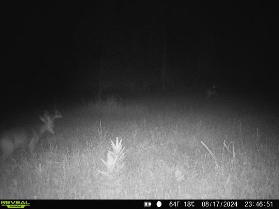 2500 West Quarter Line Road Coleman, MI 48618 - Photo 210 of 241 4079710804361832844