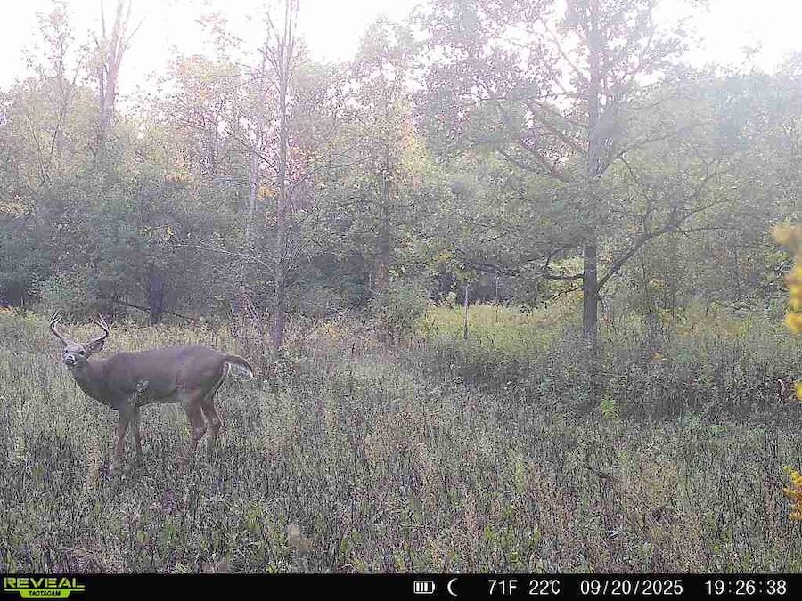 2500 West Quarter Line Road Coleman, MI 48618 - Photo 218 of 241 5274238106925705832