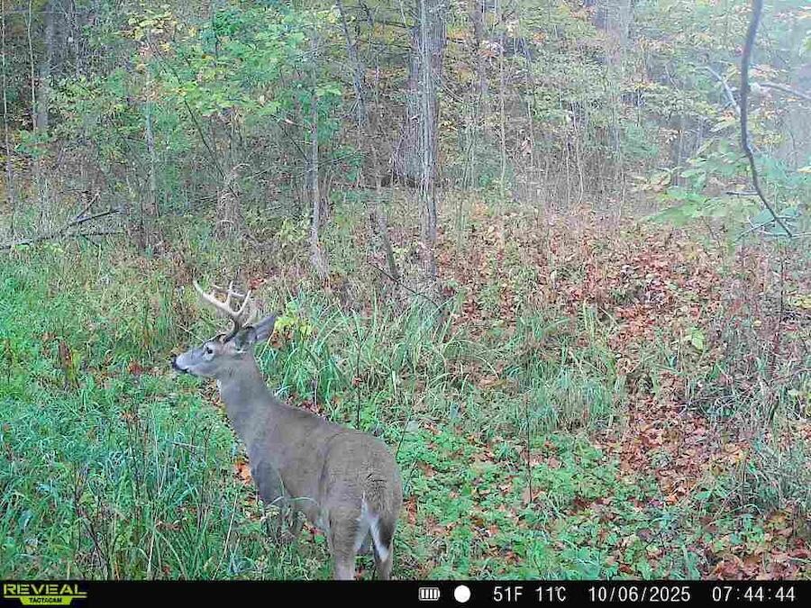 2500 West Quarter Line Road Coleman, MI 48618 - Photo 219 of 241 5315608179979525159