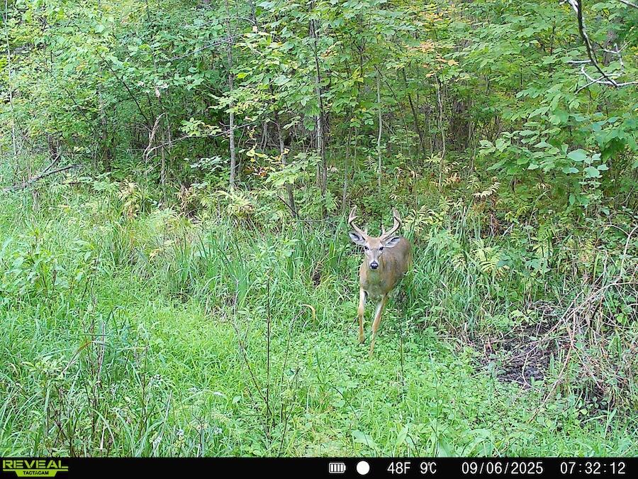 2500 West Quarter Line Road Coleman, MI 48618 - Photo 224 of 241 6421341015118309941